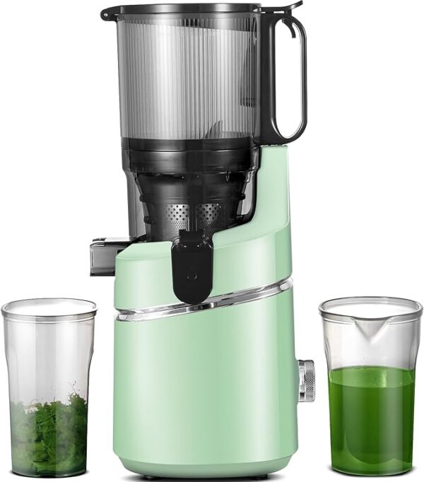 AMZCHEF Cold Press Juicer, 5.3" Self-Feeding Juicer Machines for Whole vegetable & fruit