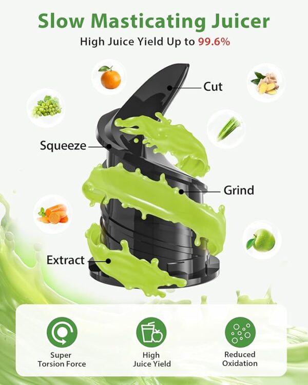 Juicer Machines, ECOSELF Cold Press Juicer with 4.35" Large Feed Chute Fit Whole Fruits and Vegetables - Image 2