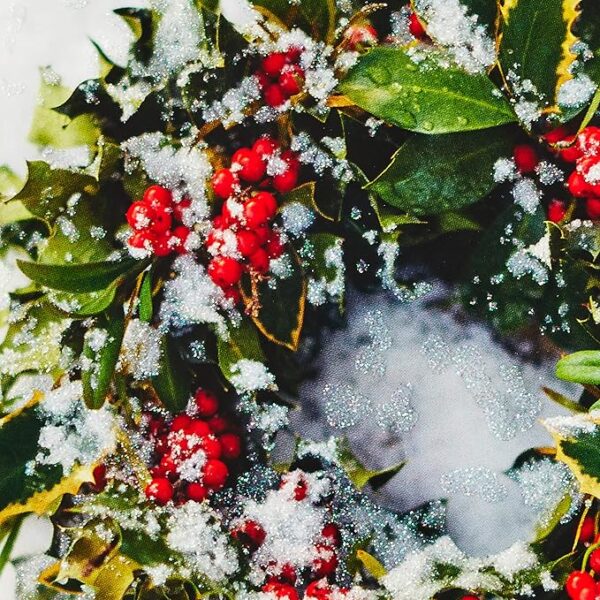 Hallmark Boxed Christmas Cards, Snowy Wreath - Image 4
