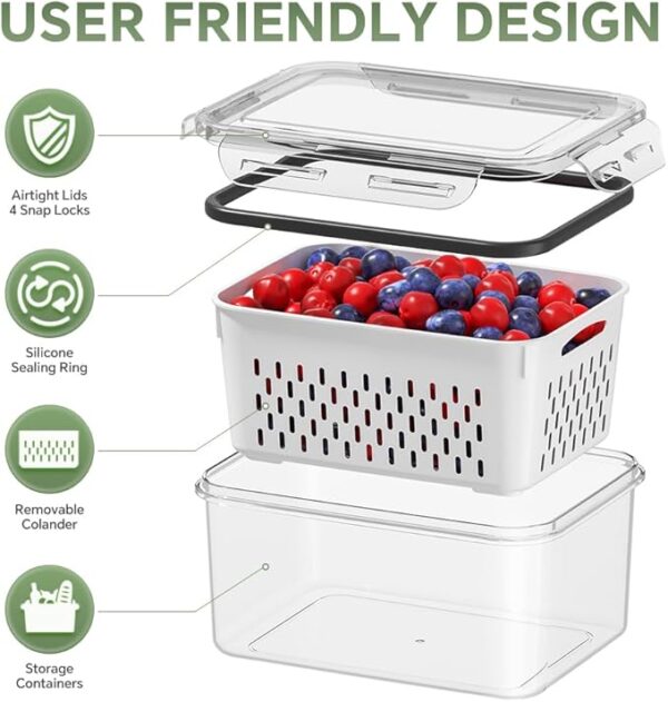 5 PCS Large Fruit Storage Containers for Fridge - Image 2